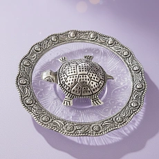 TORTOISE WITH PLATE SLIVER