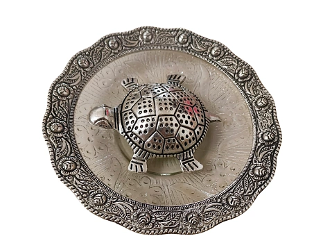 TORTOISE WITH PLATE SLIVER