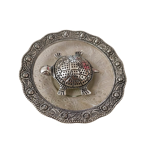 TORTOISE WITH PLATE SLIVER
